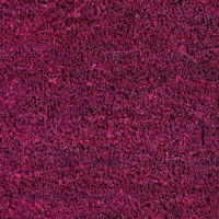 Coir Red PVC Backed Entrance Matting Brush Well