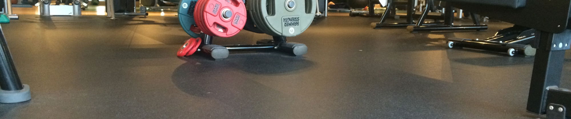 Bladerunner Everoll Gym Flooring